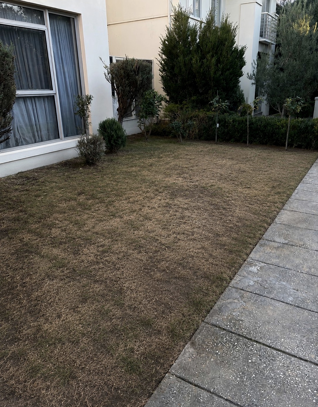 Overgrown garden before makeover Melbourne
